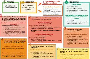 Description de l'image par IA : Infographie sur les principes, exceptions et garanties des détentions en France, avec des exemples et conditions spécifiques.