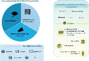 Description de l'image par IA : Diagram sur la liberté d'expression avec ses composantes et protections, médias et limites.