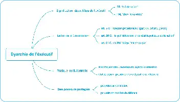Description de l'image par IA : Diagram sur la dyarchie de l'exécutif avec signes et articles constitutionnels.