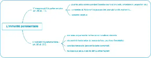 Description de l'image par IA : Diagram sur l’immunité parlementaire avec textes et flèches.