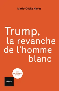 Couverture de 2) Les masculinistes, leurs médias et leurs réseaux
